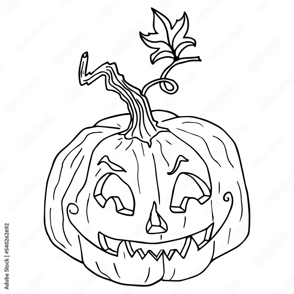 Halloween doodles Sketch of pumpkin icon. Hand drawn vector doodle ...