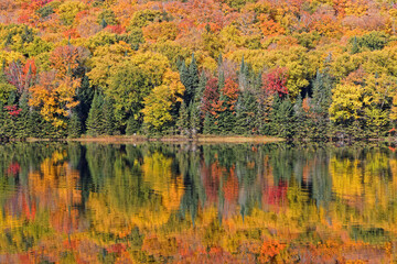 Sticker - Perfect reflections of fall colors at Monroe Lake, Mont-Tremblant National Park, Quebec