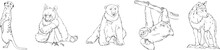 Set Of Wild Animals. Polar Bear, Wolf, Meerkat, Sloth, Panda. Black And White Hand-drawn Vector. For Illustrations, Coloring Books And Your Design.