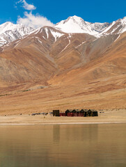 Wall Mural - Indian Army tents near Pangong Lake world’s highest saltwater lake dyed in blue stand in stark contrast to the arid mountains surrounding i