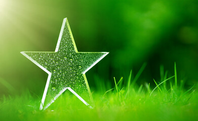 A star in dew drops and sun rays stands on the ground. A glass transparent star in the grass.Winner's cup on a green background.