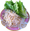 Bean sprouts and Green Coral Lettuce. isolation side dish photo ready to use for graphic design of Thai food.