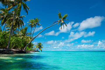 Exotic paradise Maldive resort lagoon bay view