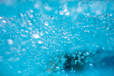 Fototapeta Zwierzęta - Beautiful water waves -  Splashed water wave in clean blue water, clean filtered water ready for drinking
