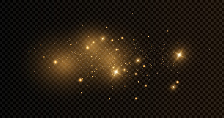 Wall Mural - the dust sparks and golden stars shine with special light. vector sparkles on a transparent backgrou