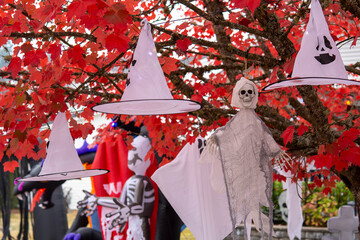 Wall Mural - White witch hats and ghost skeleton hanging on the tree with red leaves. Halloween concept