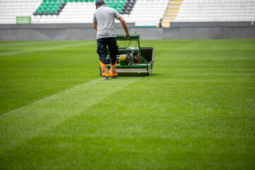 Maintenance of the lush green football field