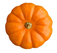 Mini Pumpkin In Traditional Orange, Fall Harvest 
