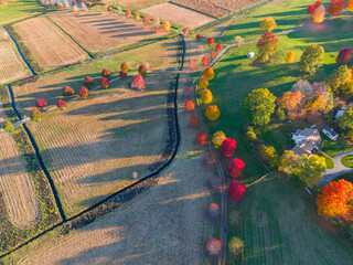 Wall Mural - aerial of farm field in the morning with colorful tree