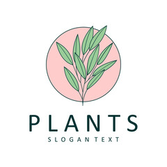 Wall Mural - plant logo design icon vector