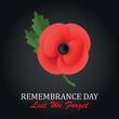 The remembrance poppy - poppy appeal. Poppy flower on black background. Decorative flower for Remembrance Day, Memorial Day, Canada and Great Britain. EPS10 vector.