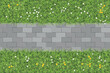 Vector illustration. Landscape design. Grass with stone path. Top view. Walkway landscape with stone path. View from above.