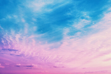 Poster - Pink-blue cloudy sky at sunset. Gradient color