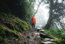 Solo Hiker Wearing Professional Backpack Covered Rain Protect Walk Across Foggy Jungle Mountain. Young Tourist Traveling Along Rocky Forest Trek