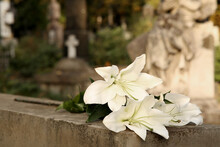 White Lilies On Grey Tombstone Outdoors, Space For Text . Funeral Ceremony