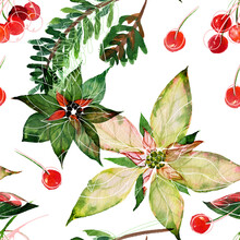 Poinsettia And Fir-tree Branches And Red Winter Berries. Christmas Seamless Pattern.