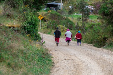 Children walking on the rural road