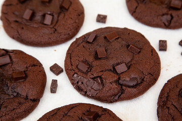 Wall Mural - Fresh baked double chocolate cookie