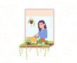 Woman watering flowers on windowsill. Female water care of green houseplants outside window, domestic potted flower on sill frame, floral indoor plants, concept vector illustration
