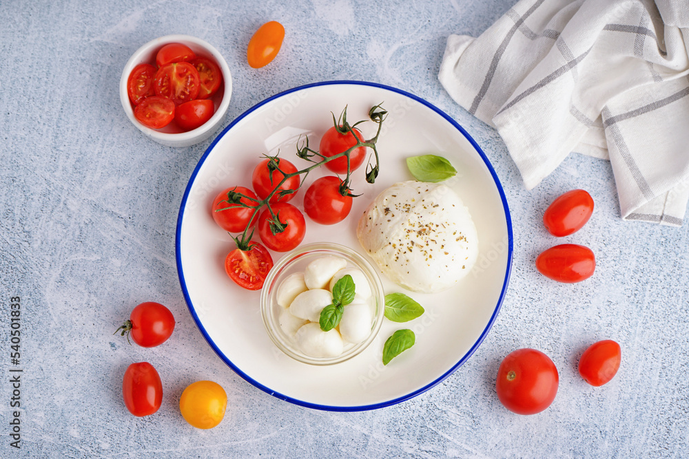 Plate with delicious mozzarella cheese and tomatoes on light background