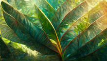 Tropical Palm Leaves, Jungle Leaves Floral Pattern Background