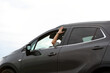 Dłoń kobiety, ręka wysunięta przez okno samochodu osobowego, suwa, na białym tle.