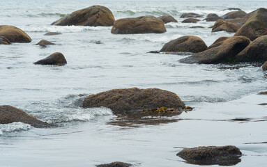 algae-covered coastal boulders in the surf