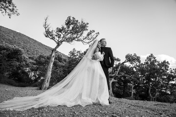 Wall Mural - The bride in a long white dress and the groom in a suit are standing against the backdrop of an old forest and mountains, black and white version