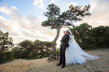 Wall Mural - Interracial newlyweds hugging against the backdrop of a beautiful forest landscape in the center of which is an old original tree