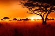 Leinwandbild Motiv Sunset in african savanna with wilderness landscape