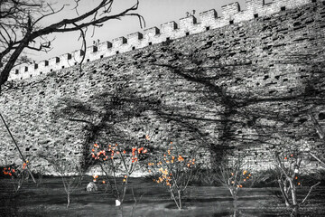 Canvas Print - Black White City Wall Park Shadows Beijing China