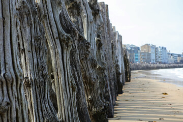 Wall Mural - Breakwater on Hoguette Beach in Saint Malo, Brittany, France