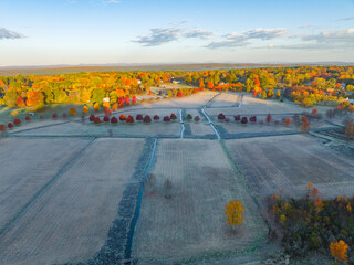 Wall Mural - aerial view of autumn farm field with morning fog under sunlight