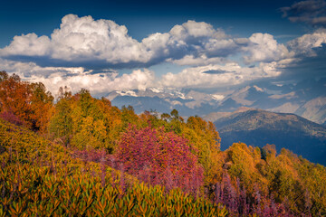 Sticker - Wonderful autumn view of canyon in Caucasus mountains. Spectacular morning landscape of Upper Svaneti, Georgia, Europe. Beauty of nature concept background.