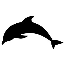 Silhouette Of A Dolphin