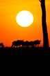 Sunset on the vastness of the Masai Mara in Kenya