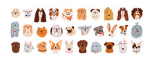 Cute Dogs Faces Set. Canine Head Portraits Of Different Doggy Breeds. Funny Puppies Muzzles. Happy Pups Avatars Of Bulldog, Poodle, Pug. Flat Graphic Vector Illustrations Isolated On White Background