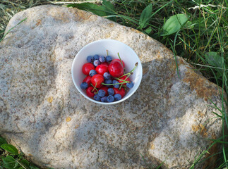 Wall Mural - A set of summer fruits in a bowl.