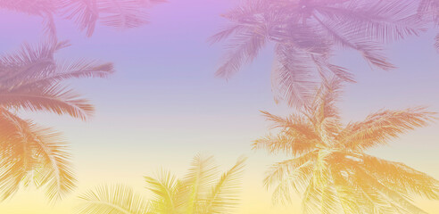 The wallpaper of a holiday of Summer  holiday colorful theme with palm trees background as texture frame background