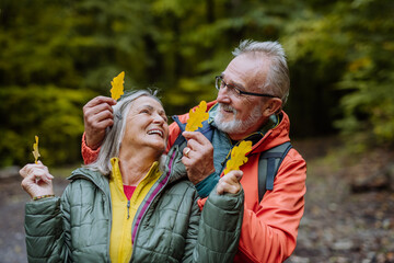 Wall Mural - Portrait of happy senior couple with autumn leaves in forest.