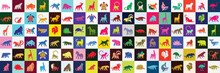 Animals Logos Collection. Animal Logo Set. Isolated On White Background	