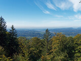 Fototapeta Na ścianę - Hotzenwald im Naturpark Südschwarzwald - Holzenpfad. Wandern auf Naturpfaden im Wald und offener Feldflur mit weiten Ausblicke über Wehr das Rheintal hinweg