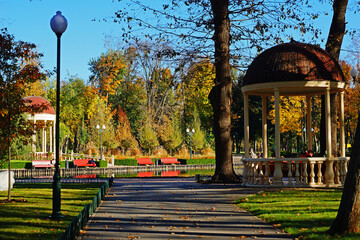 Wall Mural - Recreation lake in the park