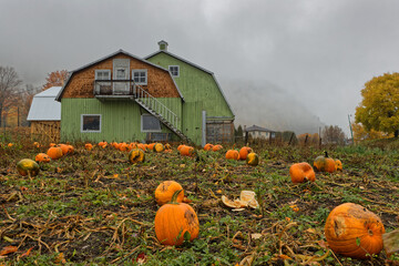 Poster - SAINTE-ROSE-DU-NORD, CANADA, October 13, 2022 : Pumpkins farm. The village has been said most beautiful village on the shore of the Saguenay River.