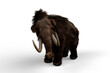 3D illustration of a Woolly Mammoth, the extinct relative of the Elephant which lived in the last ice age isolated on a transparent background.