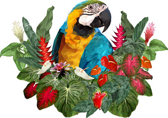 Canvas Print - Low polygon illustration Amazon rain forest macaw bird.