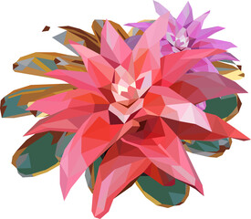 Poster - Low polygon illustration of Bromeliad  Flowers art.