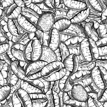 Seamless Pattern With Hand Drawn Line Art Coffee Beans Illustration