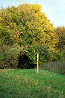 Leuchtend gelbe Markierung der Gasleitung im Herbst in bunter Landschaft bei Sonnenschein an der Lutter im Stadtteil Heepen in Bielefeld im Teutoburger Wald in Ostwestfalen-Lippe