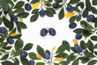 Frame of fresh plums and leaves on white background. Top view. Flat lay composition.